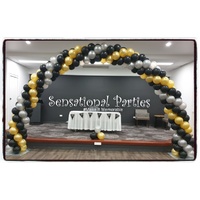 Balloon Arch Solid 3m