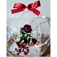 Valentine Special - Fresh Red Rose Inside Balloon