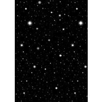 Hollywood Starry Nights Room Roll Scene Setter