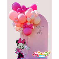 Character Float Away Sailboard ~ Organic Balloon Garland ~ Delivered Locally
