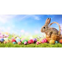 Iso-Easter Deliveries